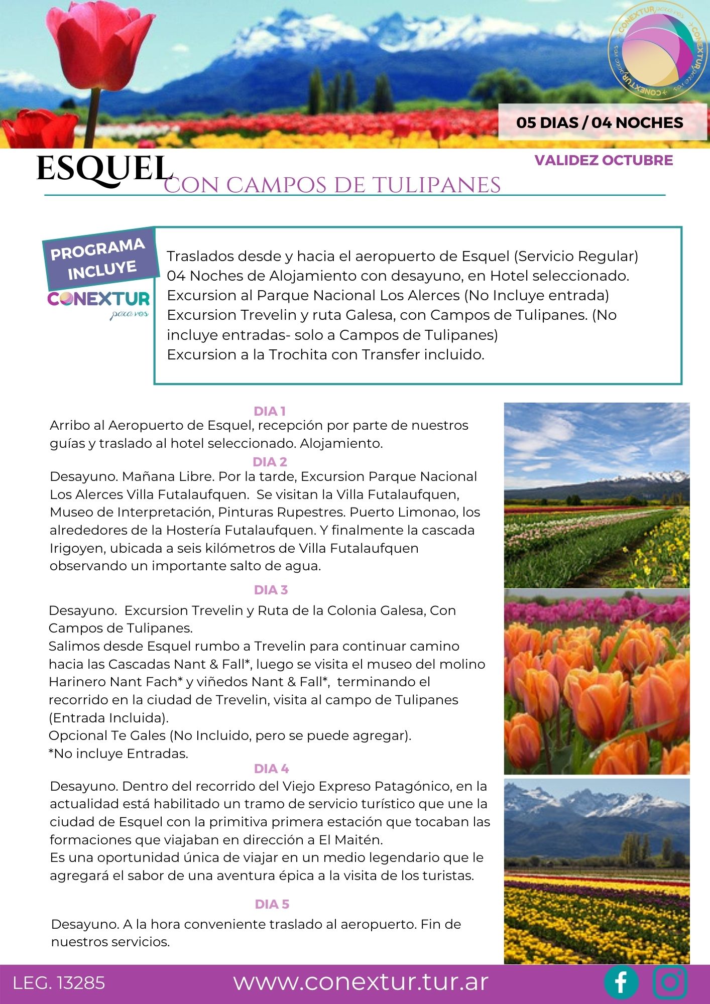 CAMPOS DE TULIPANES ESQUEL